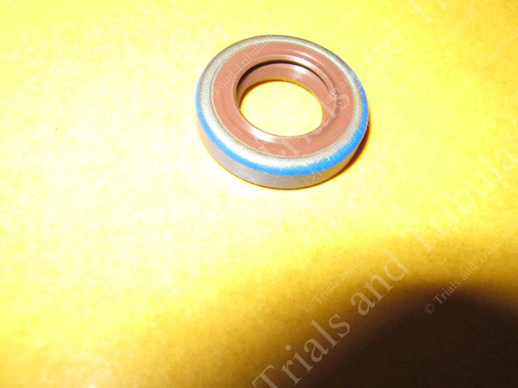 Beta Rev 4T & Evo 4T waterpump seal