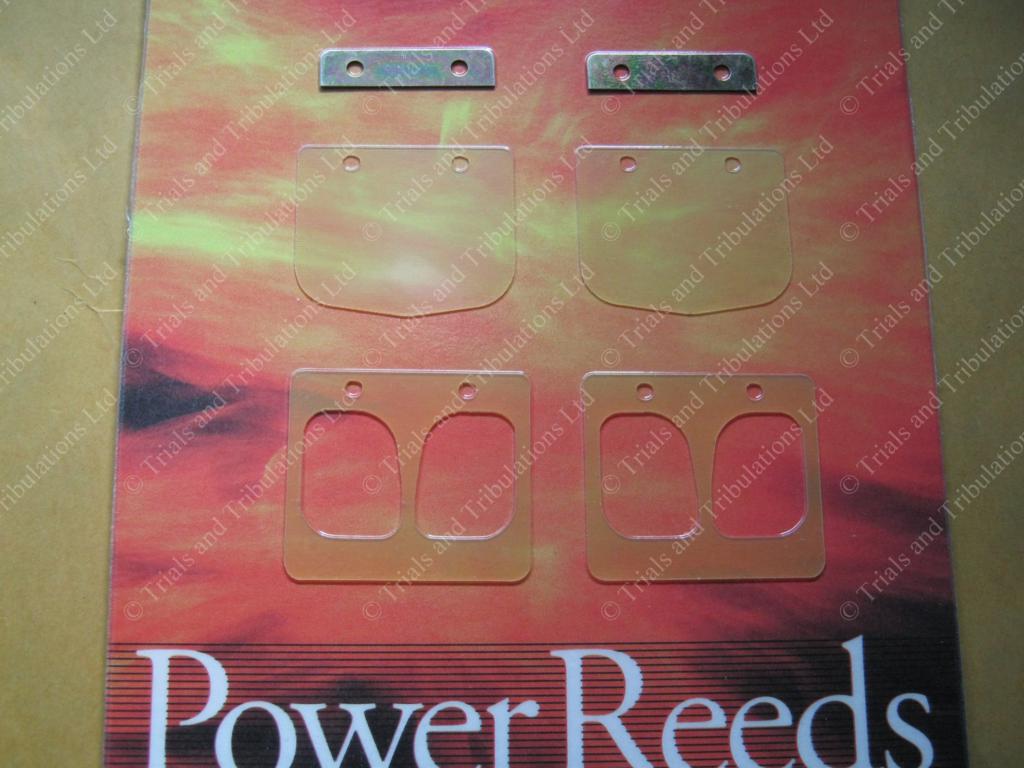 Boyesen Beta Evo 2009-on 250-300 power reeds