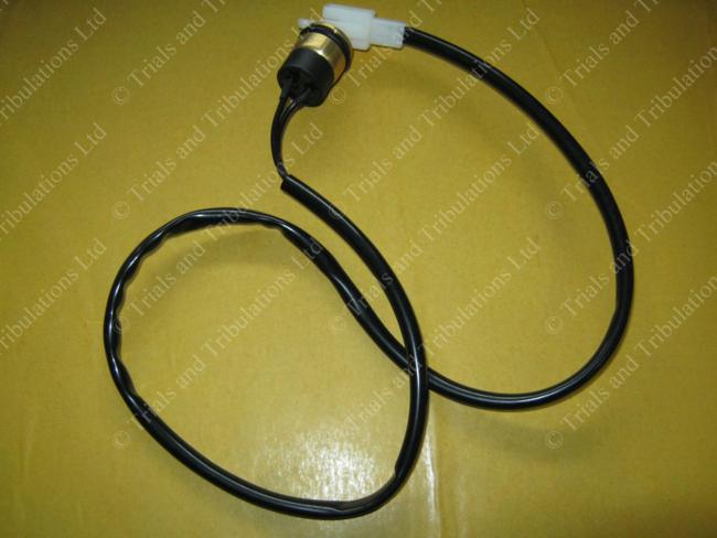 Beta Evo 4T thermostat