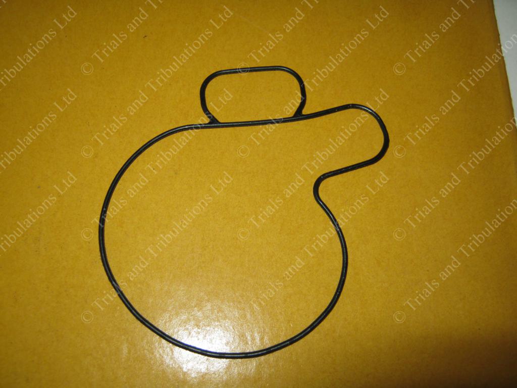 Scorpa SR & Twenty 2010-on waterpump cover O ring