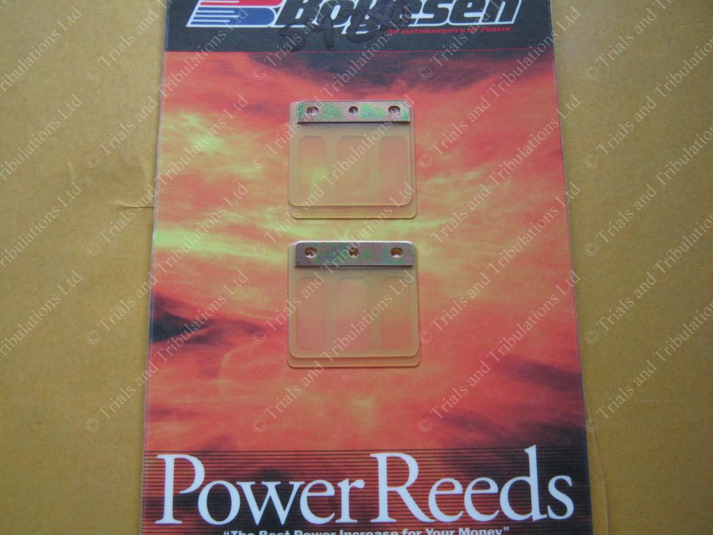 Boyesen Scorpa SY250 01-09 reeds