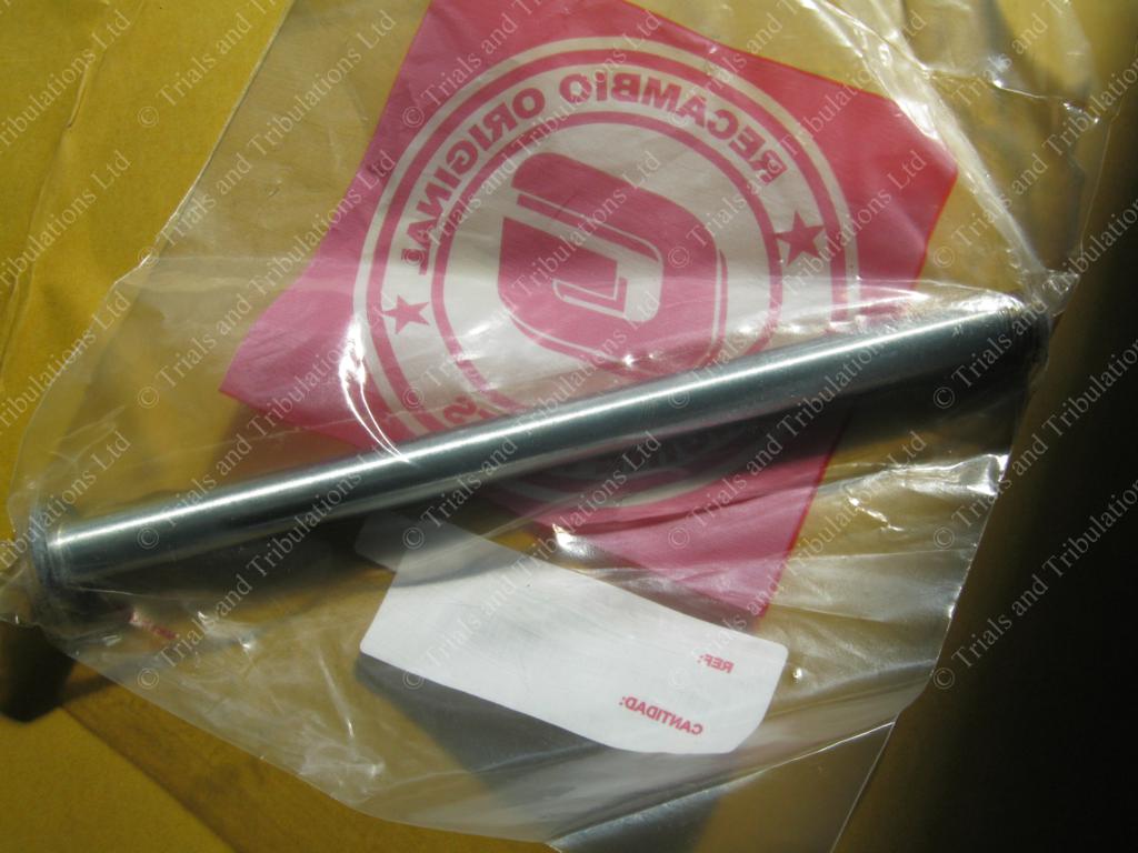 Gas Gas swingarm spindle to 2003 (Edition) NOT PRO