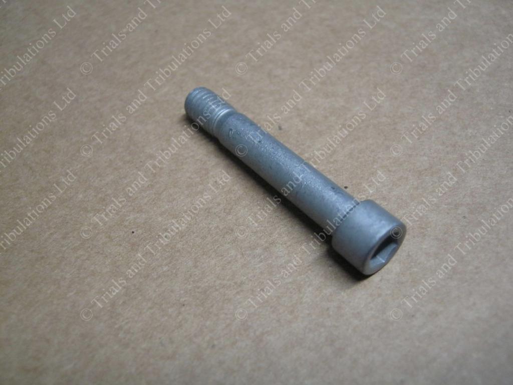 Beta Rev3 & Evo brake pad retaining bolt