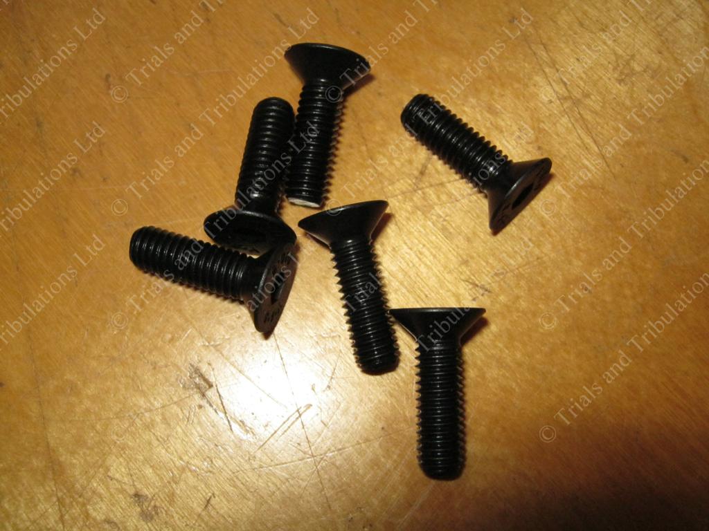 Beta Rev 80 & Evo 80 clutch screws