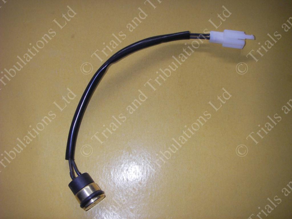 Beta Evo 2009-2016 2 stroke thermostat (125-300)
