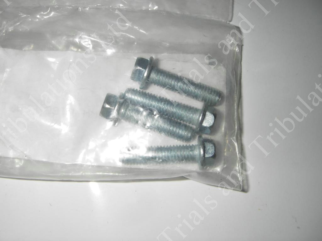 Gas-Gas brake disc bolts (priced each)