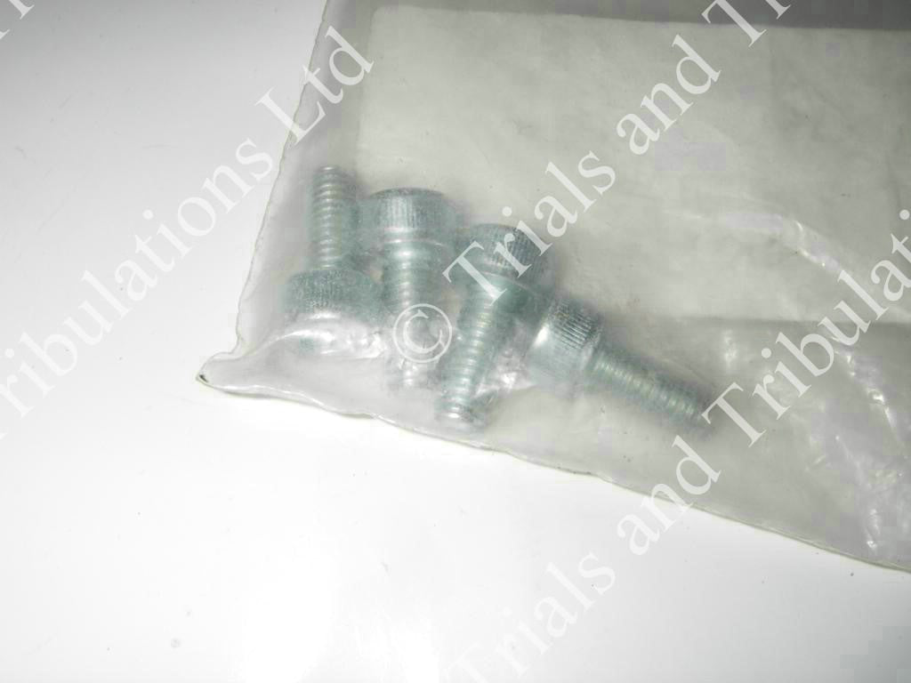 Gas-Gas Pro exhaust mounting allen screw