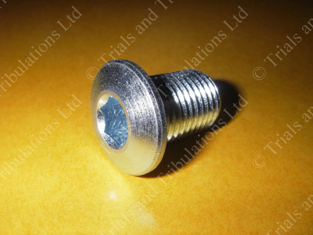 Gas Gas Pro (all years ) swingarm spindle bolt