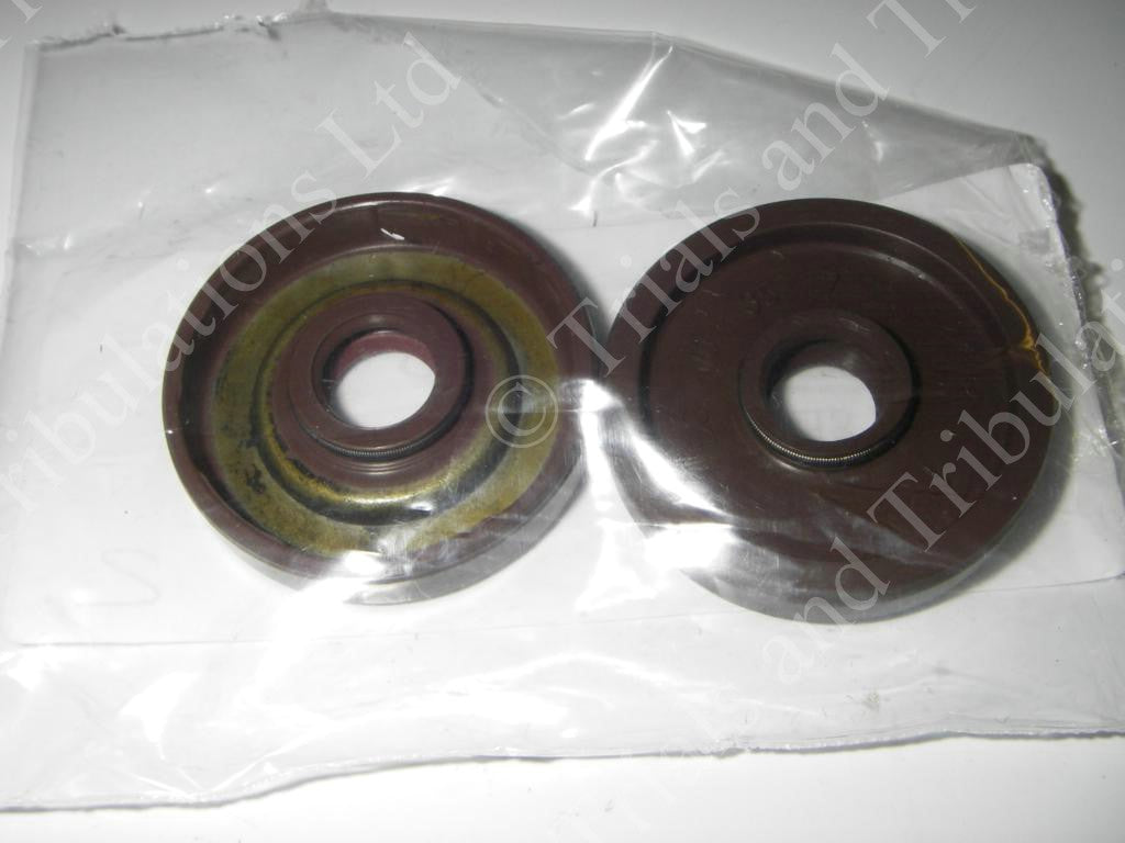Gas-Gas Pro waterpump seal