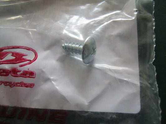Beta Shock flap/protector fixing screw
