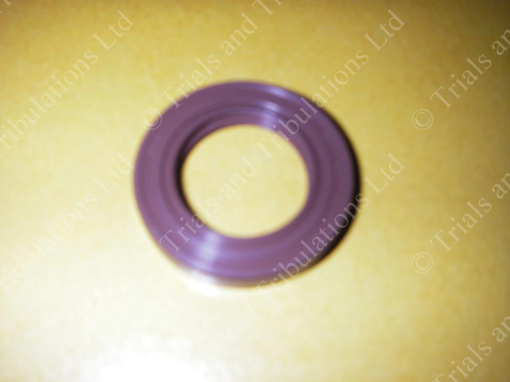 Beta Techno & Rev 3 (up to 07) crank seals (priced each)