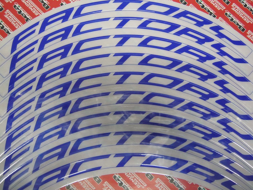 Beta Evo 2019 Factory Rim Decals