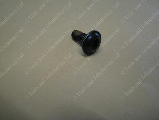 Gas Gas Pro  02-on clutch screws (priced each)