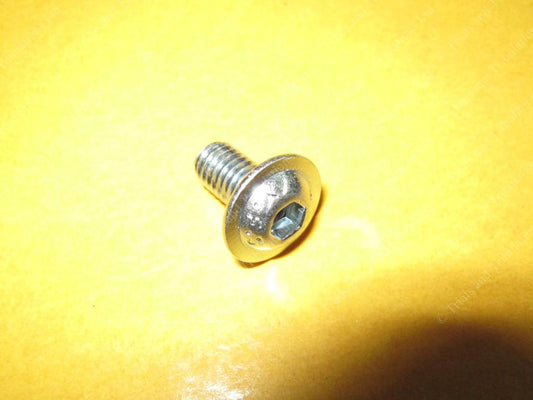 Beta  Evo 2011 -on rear mudguard fixing screw (priced each)