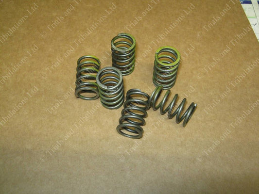 Beta Rev 80 & Evo 80 clutch springs(set)