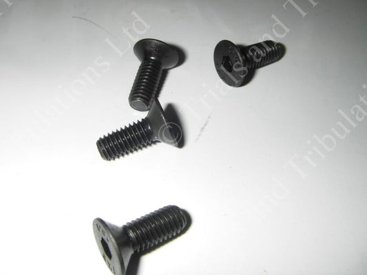 Gas-Gas Pro 04- on airbox screws (priced each)