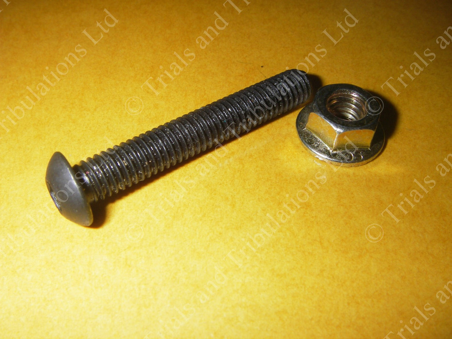 Gas Gas Pro rear master cylinder & exhaust mounting screw