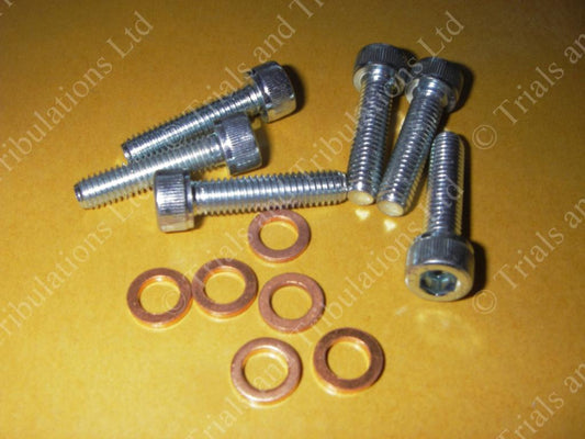 Gas Gas Pro cylinder head bolt & washer (priced each)